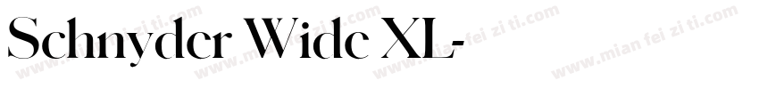Schnyder Wide XL字体转换